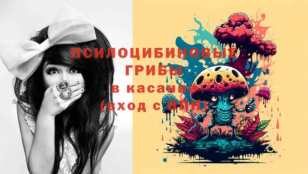 тгк Михайловск