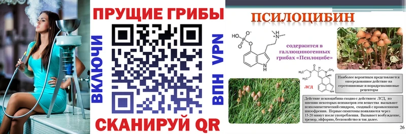 MEGA   Стерлитамак  Галлюциногенные грибы GOLDEN TEACHER 