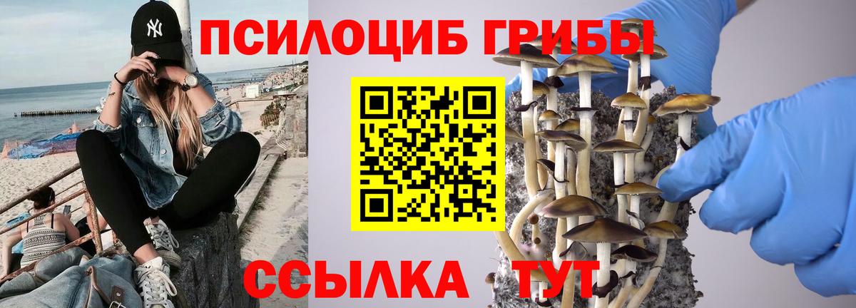 Псилоцибиновые грибы мицелий Стерлитамак
