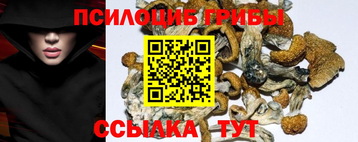 Стерлитамак  Псилоцибиновые грибы Magic Shrooms  Вход с VPN 