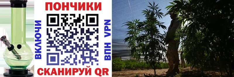 Каннабис VHQ  как найти закладки  Стерлитамак 